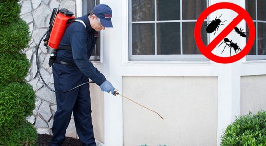 Dazkırı Akrep İlaçlama böcek ilaçlama ve haşere kontrolü — ilaclama-tr.com